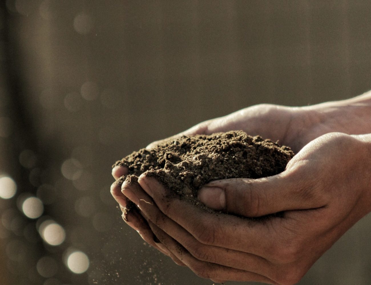 agriculture hands